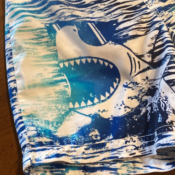 OSHKOSH B’GOSH Boys Swim Short - size 5 - Picture 3 of 15